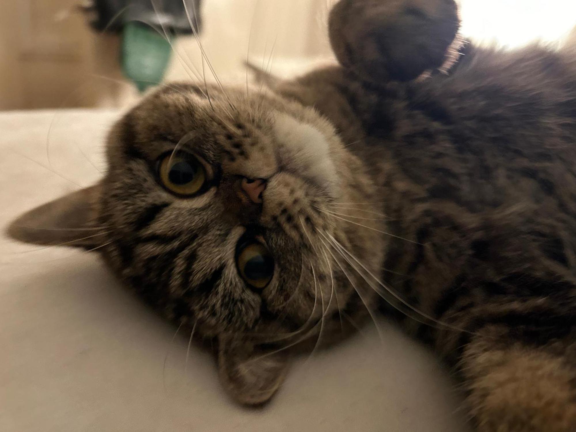 Grande Au Bord Du Habitación en casa particular Ginebra