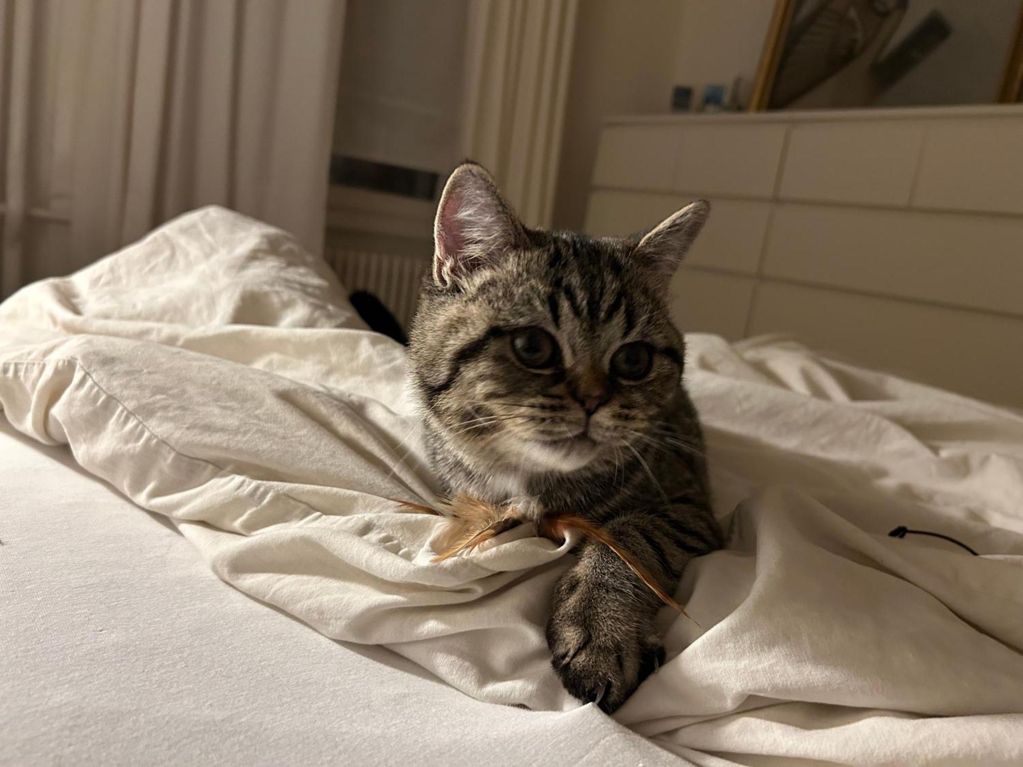 Grande Au Bord Du Habitación en casa particular